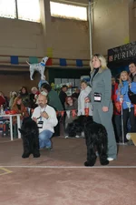 DSC_0044.webp
