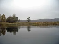 PIC_0001.webp