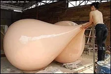 gros_seins.webp