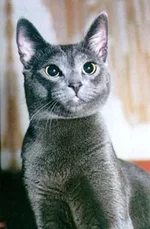 2.webp