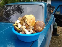 2013-09-29 14.31.30.webp