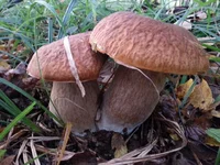 20130923_180901.webp