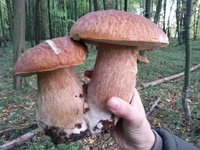 20130923_181037.webp