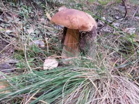 20130925_134936.webp