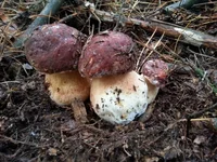 20130925_162144.webp