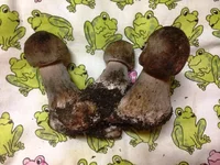 IMG_0313.webp IMG_0313.webp