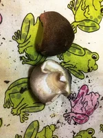 IMG_0314.webp IMG_0314.webp