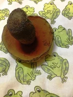 IMG_0311.webp IMG_0311.webp