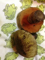 IMG_0312.webp IMG_0312.webp