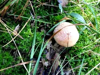 IMG_0256.webp IMG_0256.webp