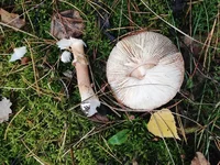 IMG_0257.webp IMG_0257.webp