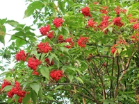 IMG_1026.webp