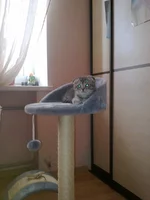 28092013844.webp