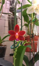 IMAG0286.jpg