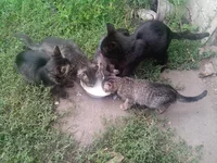 IMG_20130909_152802.webp