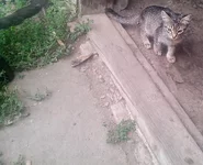IMG_20130909_1527451.webp