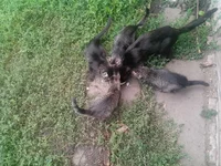 IMG_20130909_152705.webp