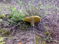 03102013621.webp