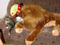 IMG_2498.webp