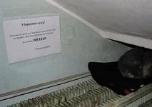 6q03Mjm-gKo.webp
