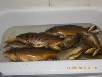 DSCN0009.webp