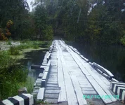 SAM_7043.webp