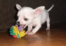 SAM_1328.webp