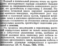 zimostojkost-1.webp