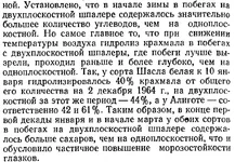 zimostojkost-2.webp