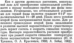 zimostojkost-3.webp