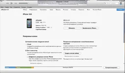 12.webp