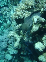 DSC00027.webp