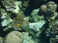 DSC00029.webp
