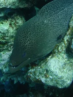 DSC00044.webp