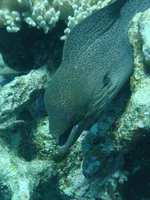 DSC00046.webp