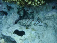 DSC00067.webp