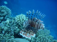 DSC00072.webp