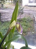 CAM00422.jpg