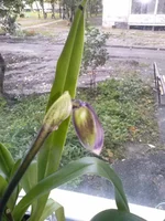 CAM00422.jpg