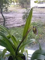 CAM00421.webp