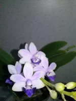 CAM00430.jpg