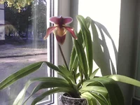 IMG0025A.jpg