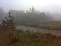 10102013628.webp