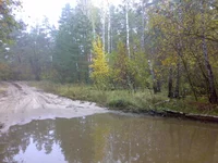10102013636.webp