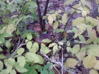 10102013637.webp