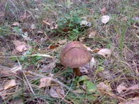 10102013634.webp