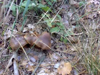 10102013638.webp