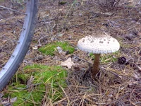 10102013640.webp