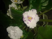 2012-10-04 08.03.18.webp