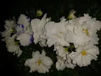 2012-10-14 19.38.33.webp